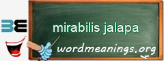 WordMeaning blackboard for mirabilis jalapa